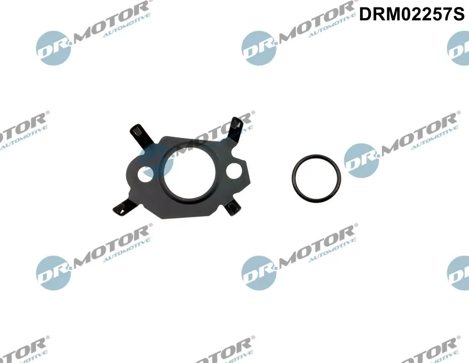DRM02257S Dr.motor