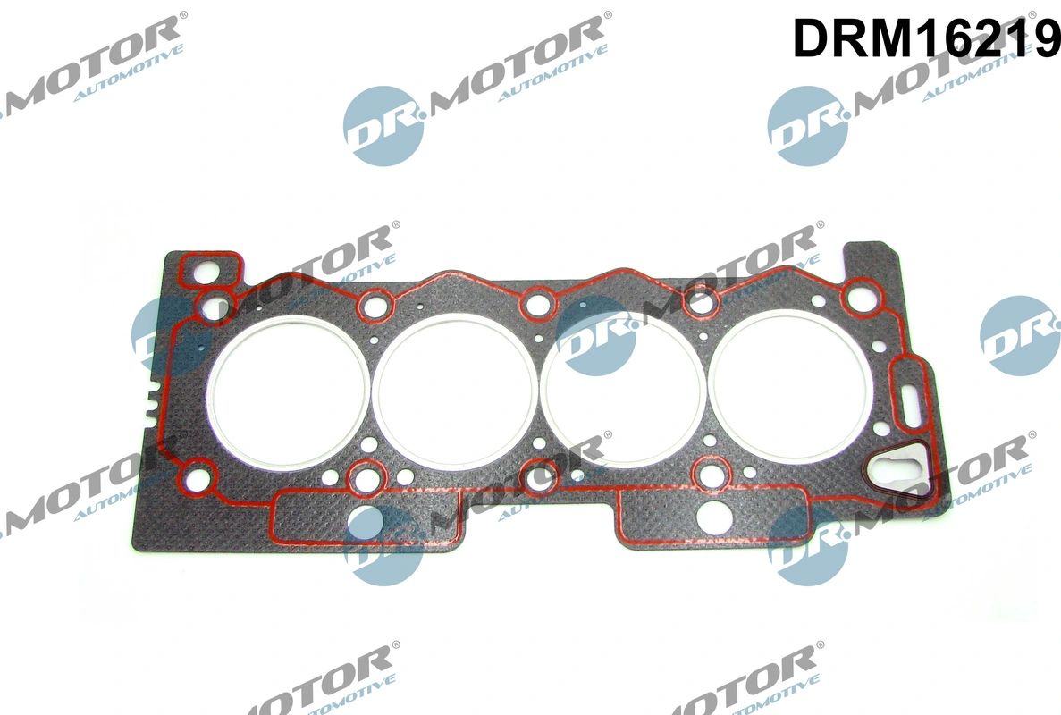 DRM16219 Dr.motor