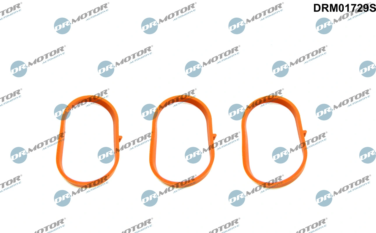 DRM01729S Dr.motor