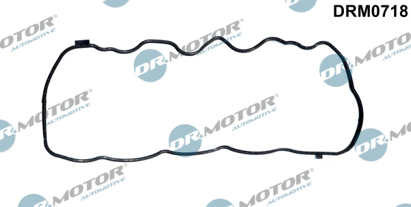 DRM0718 Dr.motor