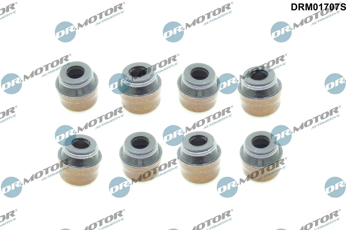 DRM01707S Dr.motor