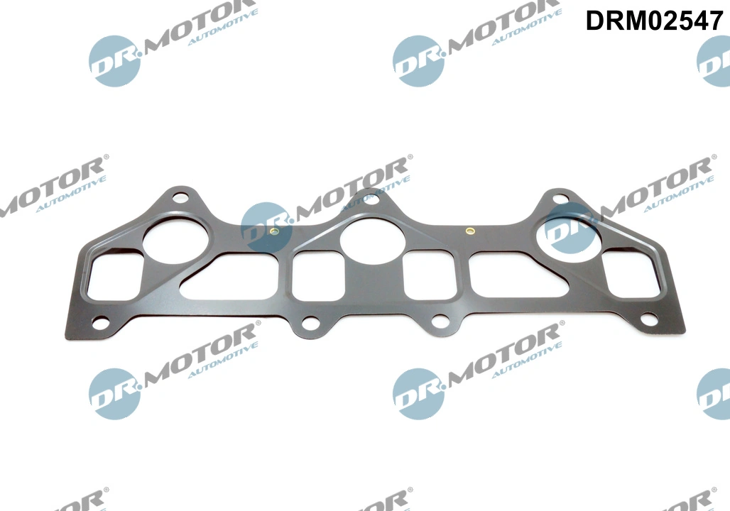 Juego de juntas, colector de admisión Ford Ranger  (2006-2011)