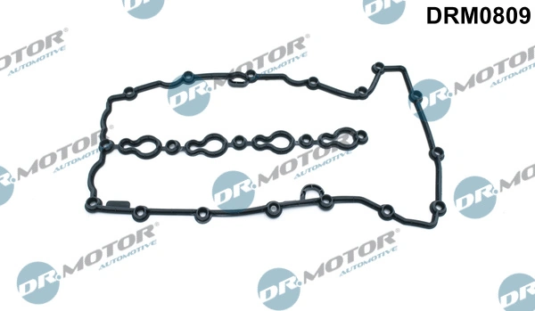 DRM0809 Dr.motor