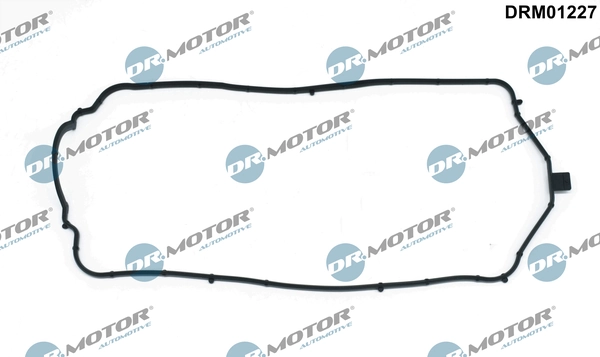 DRM01227 Dr.motor