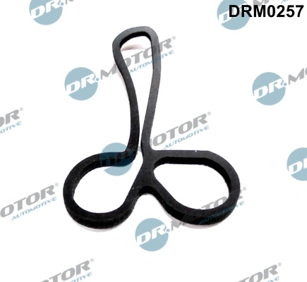 DRM0257 Dr.motor