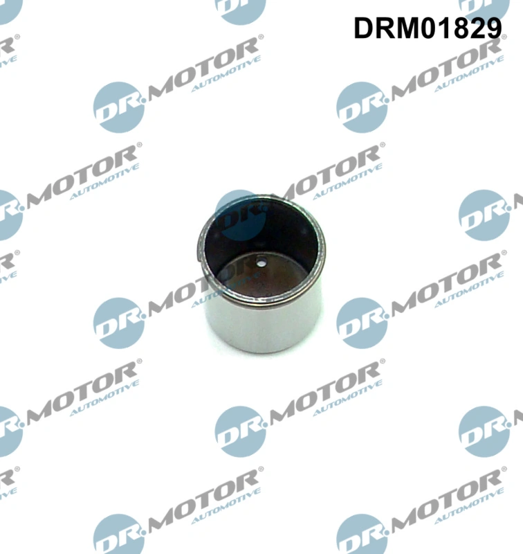 DRM01829 Dr.motor