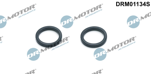DRM01134S Dr.motor