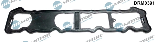 DRM0391 Dr.motor