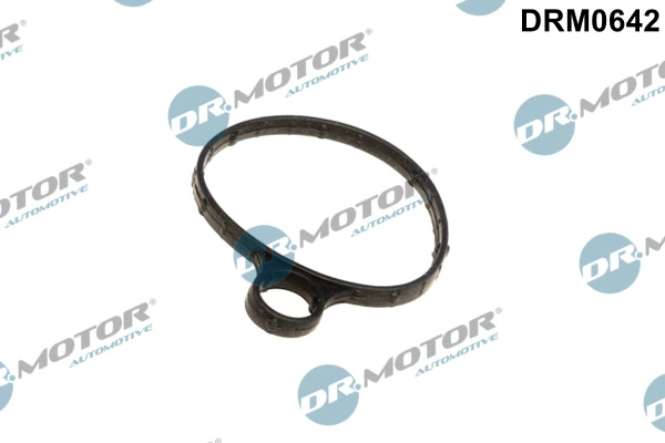 DRM0642 Dr.motor