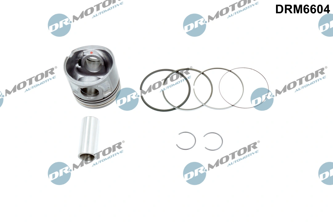 DRM6604 Dr.motor