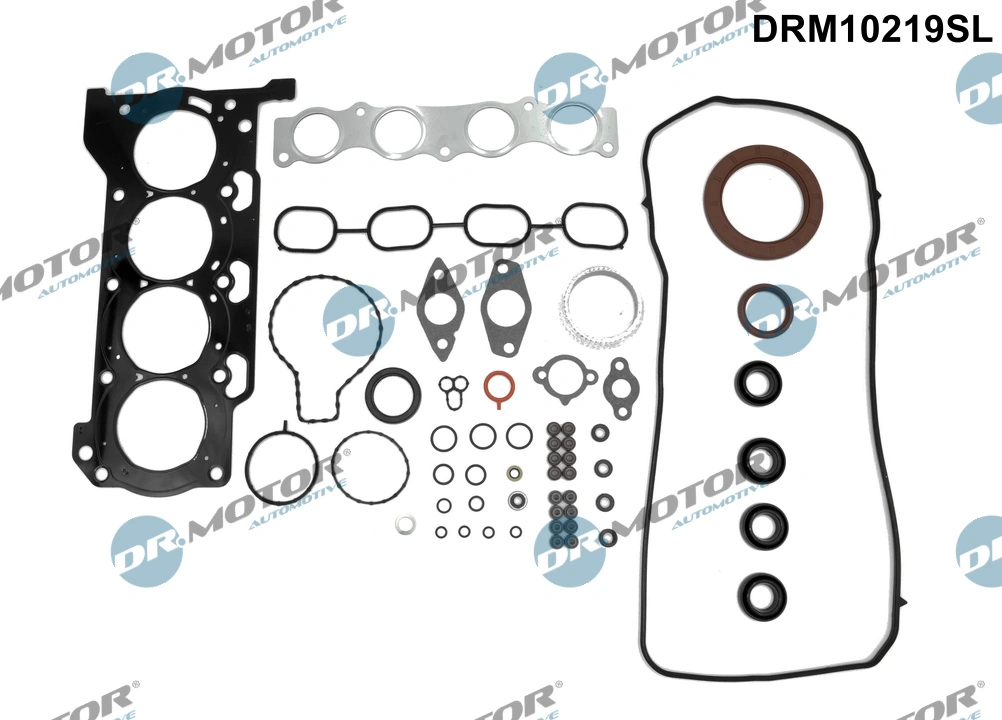 DRM10219SL Dr.motor