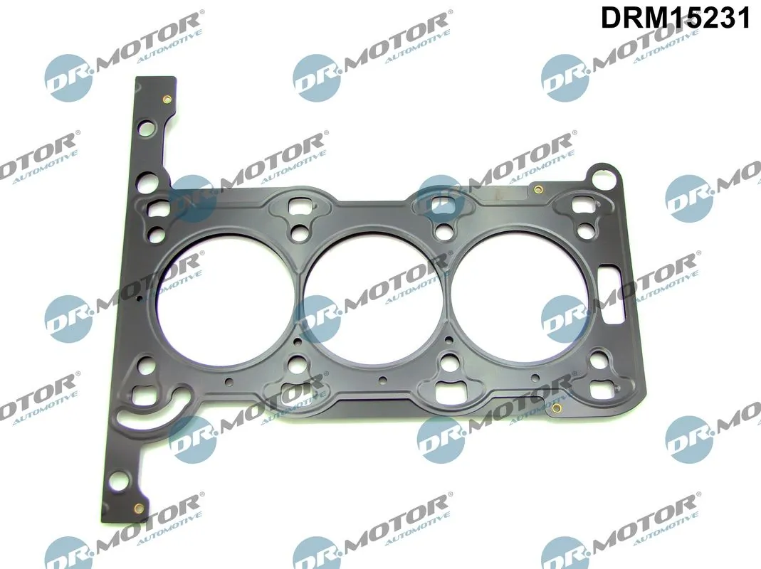 DRM15231 Dr.motor
