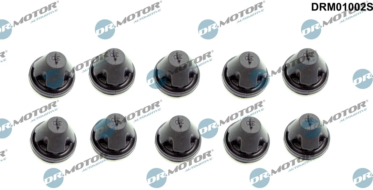 DRM01002S Dr.motor