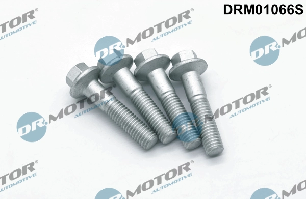 DRM01066S Dr.motor