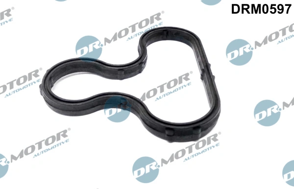 DRM0597 Dr.motor