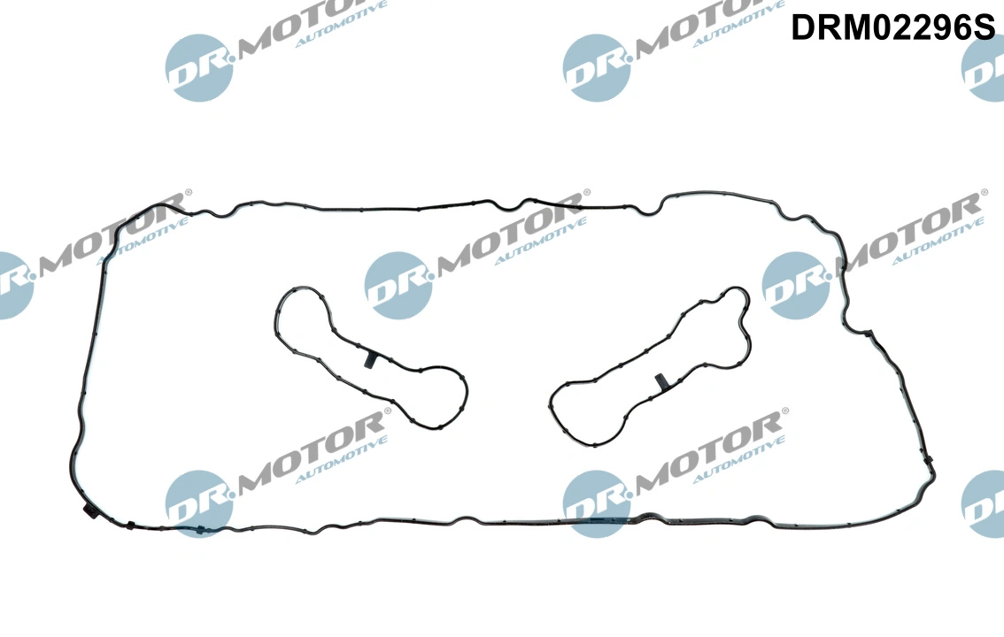 DRM02296S Dr.motor