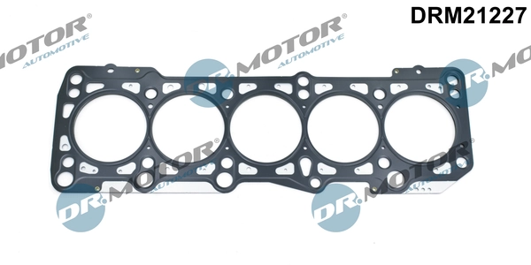 DRM21227 Dr.motor