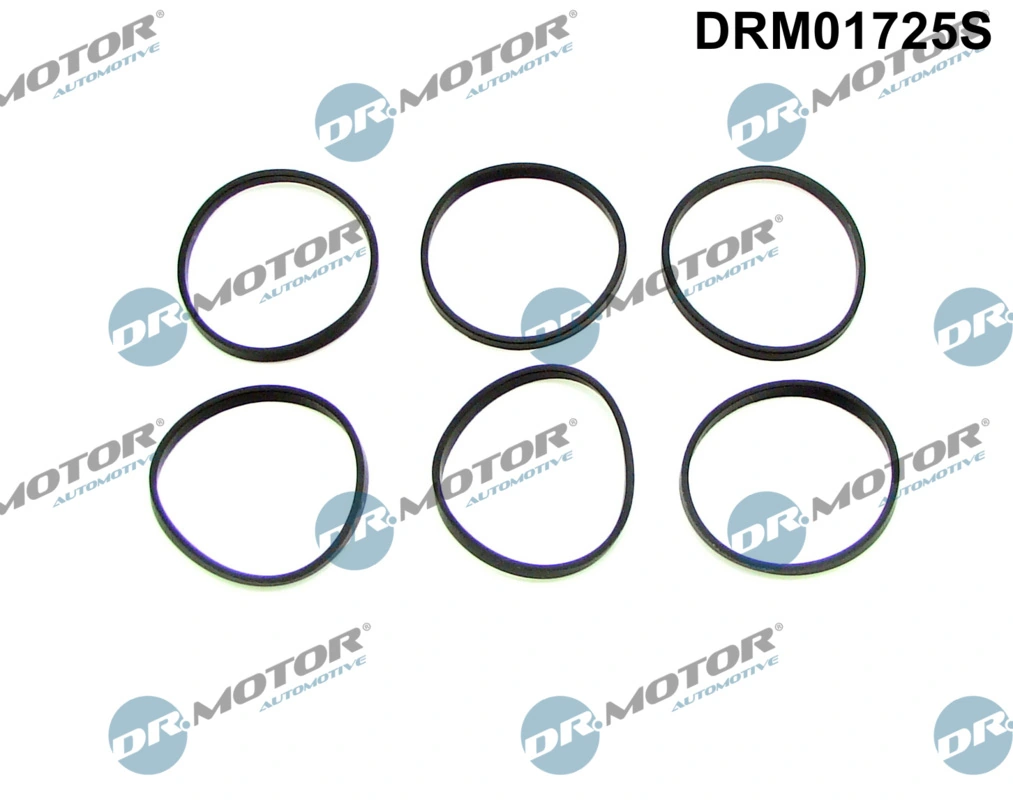 DRM01725S Dr.motor