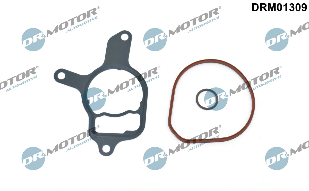 DRM01309 Dr.motor