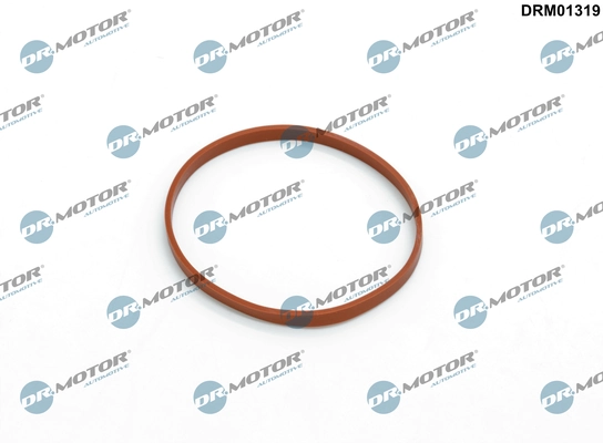 DRM01319 Dr.motor
