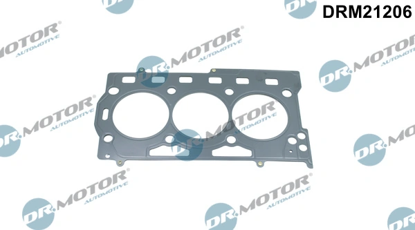 DRM21206 Dr.motor