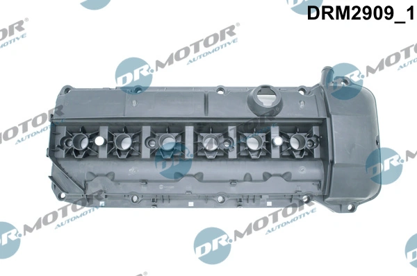 DRM2909 Dr.motor