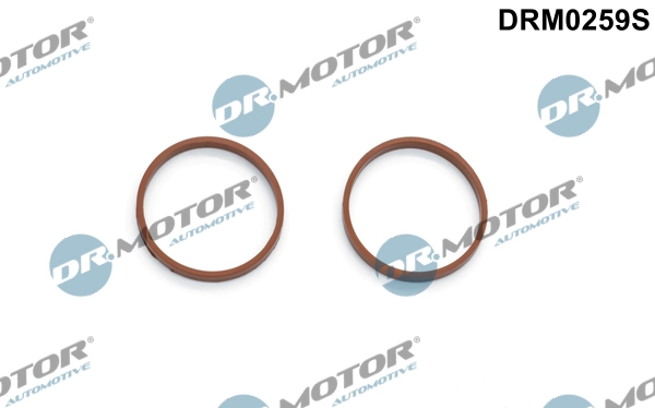 Comprar Junta del colector de admisión Citroen C3 II 2R, 2C a bajo precio