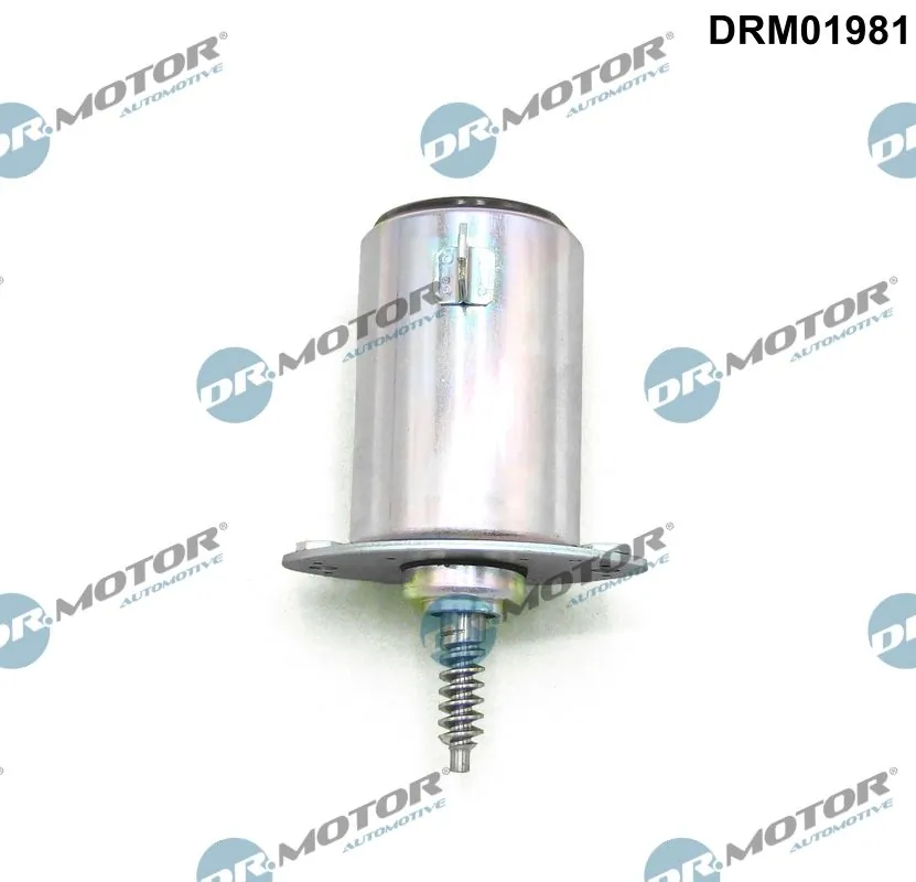 DRM01981 Dr.motor