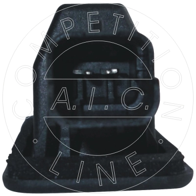 55774 AIC Luz de matricula