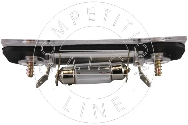 53953 AIC Luz de matricula