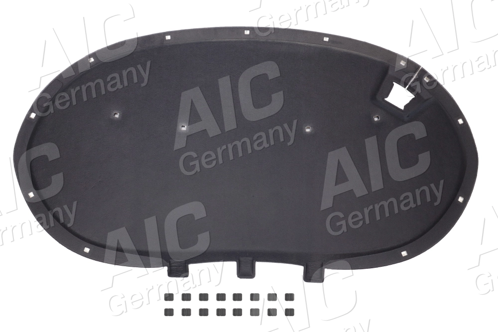 58165 AIC