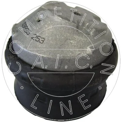 53985 AIC