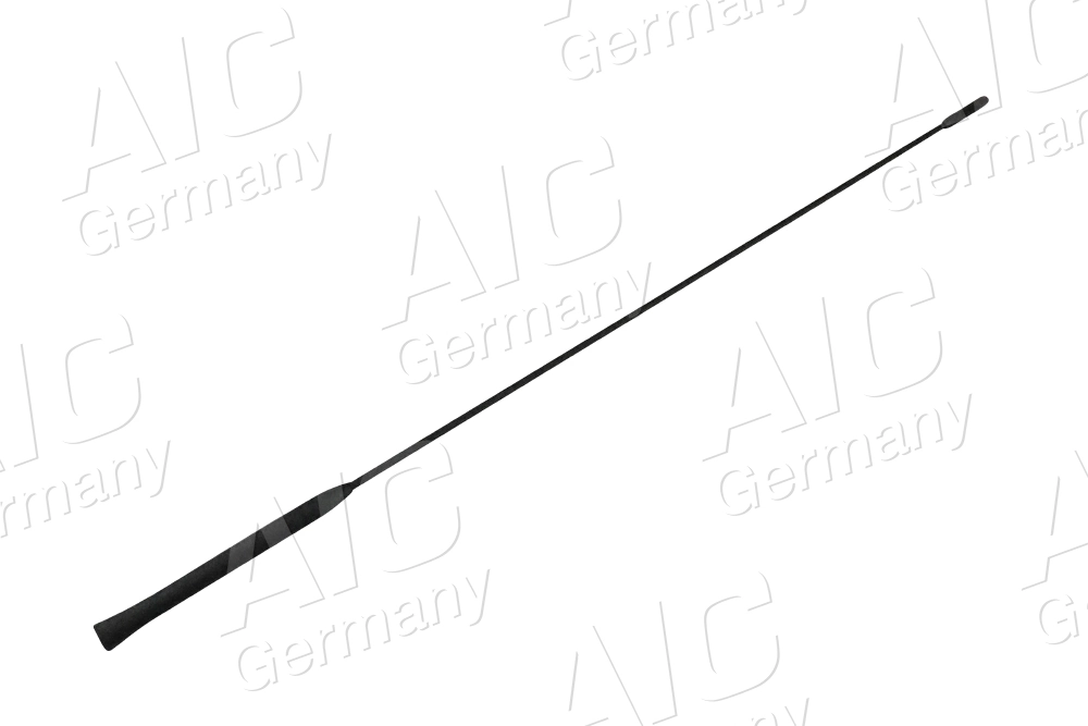 53911 AIC