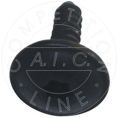 55665 AIC