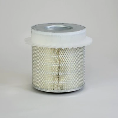 P118343 Donaldson