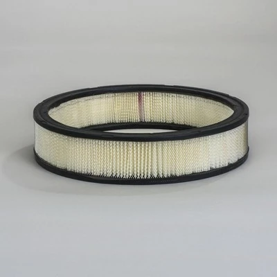 Filtro de aire coche Opel Vectra  (38)