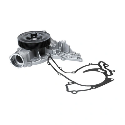 TOPT1105046 Bapmic