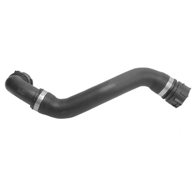 TOPT1213059 Bapmic
