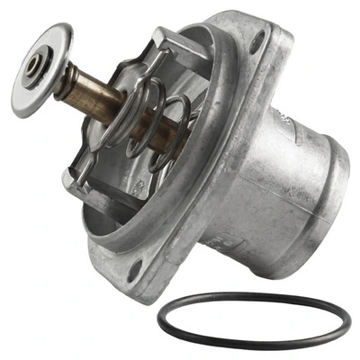 TOPT1106006 Bapmic