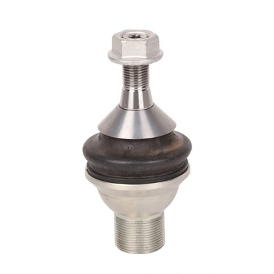 BACB11525037 Bapmic