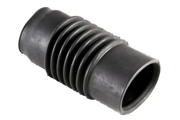 CS25015 Jikiu