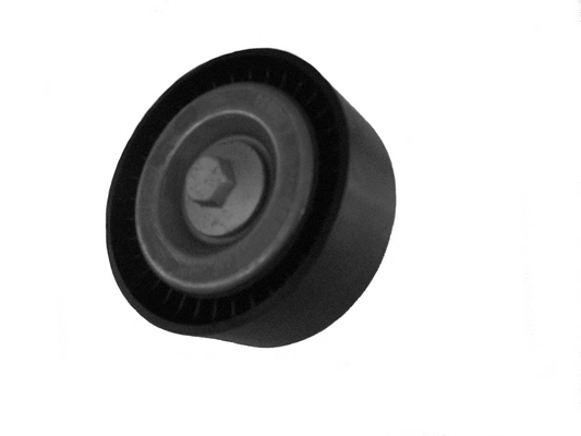 Rodillo guia ECOSPORT  SUV (2013-2022) original desde 19,81 €