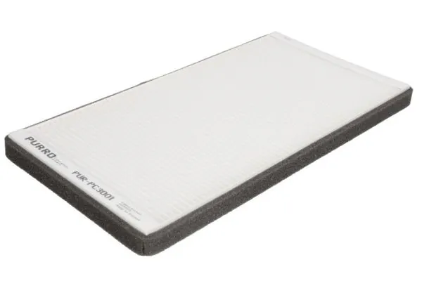 PURPC3001 Purro