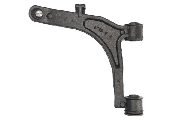 RH042054 Reinhoch