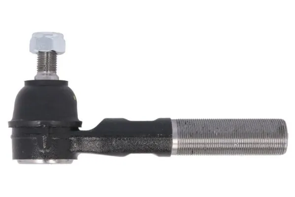 RH016029 Reinhoch