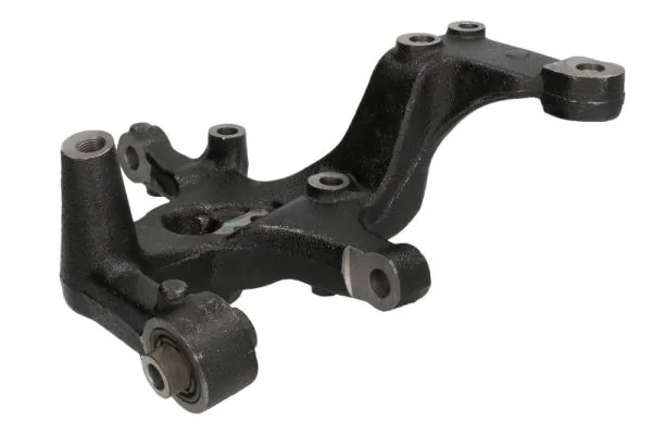 RH080047 Reinhoch