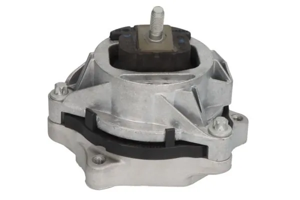 RH113134 Reinhoch