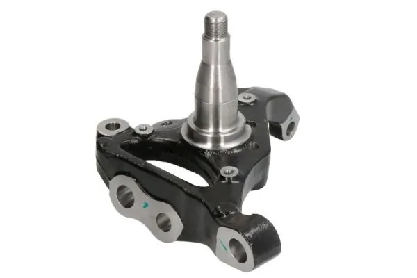 RH083008 Reinhoch