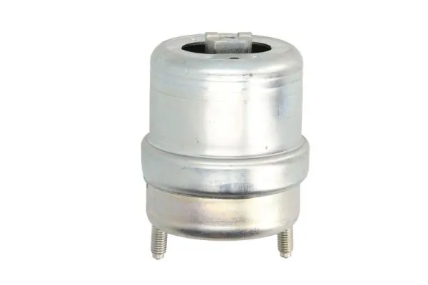 RH110129 Reinhoch