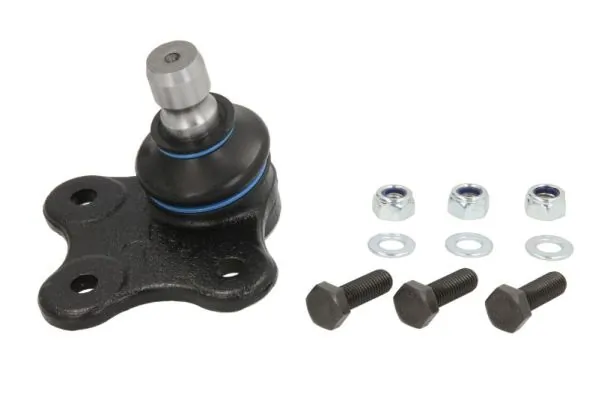 RH031002 Reinhoch